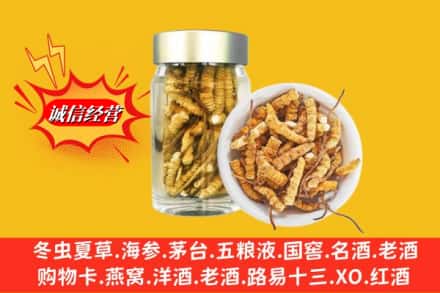 深圳罗湖区回收散虫草