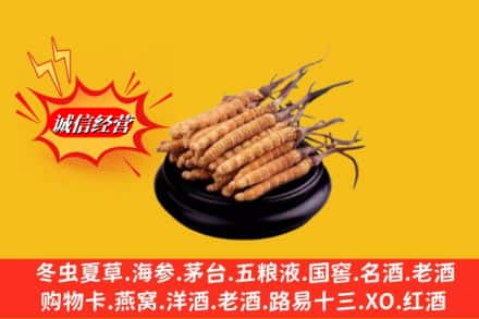 深圳罗湖区求购回收虫草多少钱每克